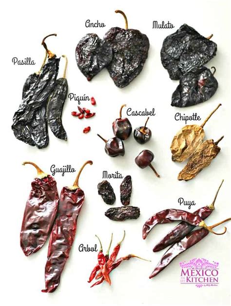 difference between guajillo and ancho chile